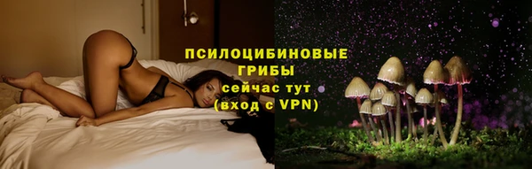крисы Белоозёрский