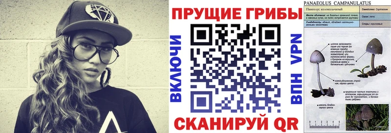 Галлюциногенные грибы прущие грибы Миасс