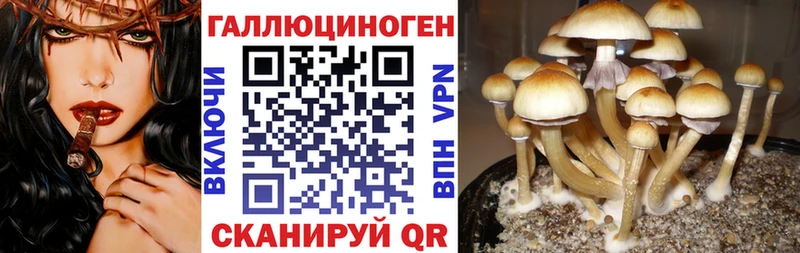 Псилоцибиновые грибы Psilocybine cubensis  MEGA ТОР  Миасс  дарк нет официальный сайт  где купить наркоту 